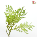 Christmas Leaf (Per Bunch)-Green-Malaysia-prflorist.com.my