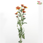 Chrysanthemum Pompom - Orange With Red Heart (12 Stems)-Orange Red-Malaysia-prflorist.com.my