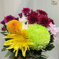 Mixed Chrysanthemum Pom Pom Bunch (Random)