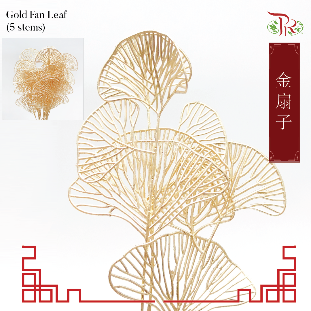 CNY Gold Leaf - Gold Fan Leaf (5 Stems)-China-prflorist.com.my