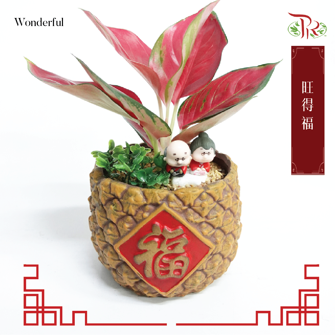 Wonderful 旺得福