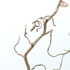 Corylus - (With Size Options) (Per Stem)-Netherland-prflorist.com.my