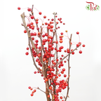 Crab Apple - Red (Per Bunch)-Red-China-prflorist.com.my