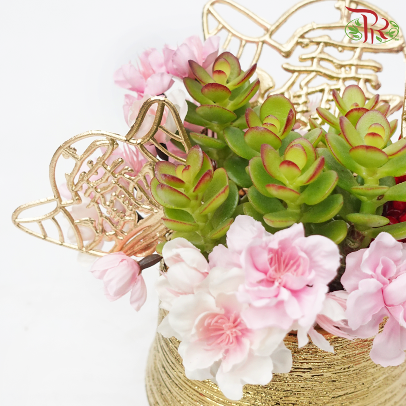 Crassula Plant Arrangement《玉树》 - 龙年吉祥