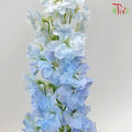 Delphinium Belladonna - Chiffon Light Blue (5 Stems)-Blue-China-prflorist.com.my