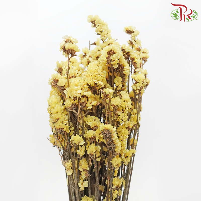 Dried Statice - Yellow (Per Bunch)-Yellow-Pudu Ria Florist-prflorist.com.my