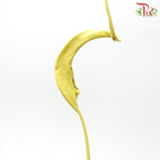Dried Strelitzia Leaf - Yellow (5 Stems)-Netherland-prflorist.com.my