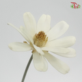 Dried Sunflower Seed Flower - (Per Bunch)-White-China-prflorist.com.my