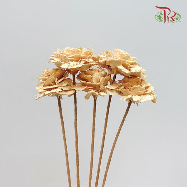 Dry Aeschynomene - Apricot (Medium) 5 Stems-Apricot-China-prflorist.com.my