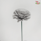Dry Aeschynomene Small - Grey (5 Stems)-Grey-China-prflorist.com.my