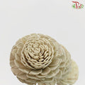 Dry Aeschynomene Small - Light Grey (5 Stems)-Grey-China-prflorist.com.my