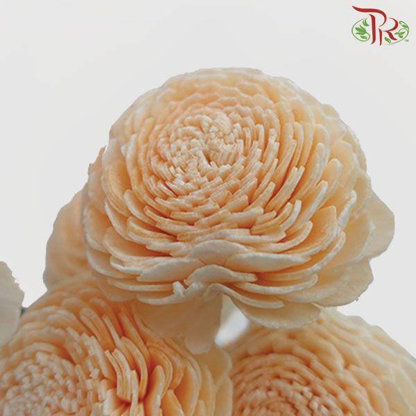 Dry Aeschynomene Small - Peach (5 Stems)-Peach-China-prflorist.com.my