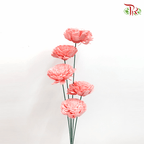Dry Aeschynomene Small - Pink (5 Stems)-Pink-China-prflorist.com.my