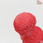 Dry Aeschynomene Small - Red (5 Stems)-Red-China-prflorist.com.my