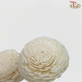 Dry Aeschynomene Small - White (5 Stems)-White-China-prflorist.com.my