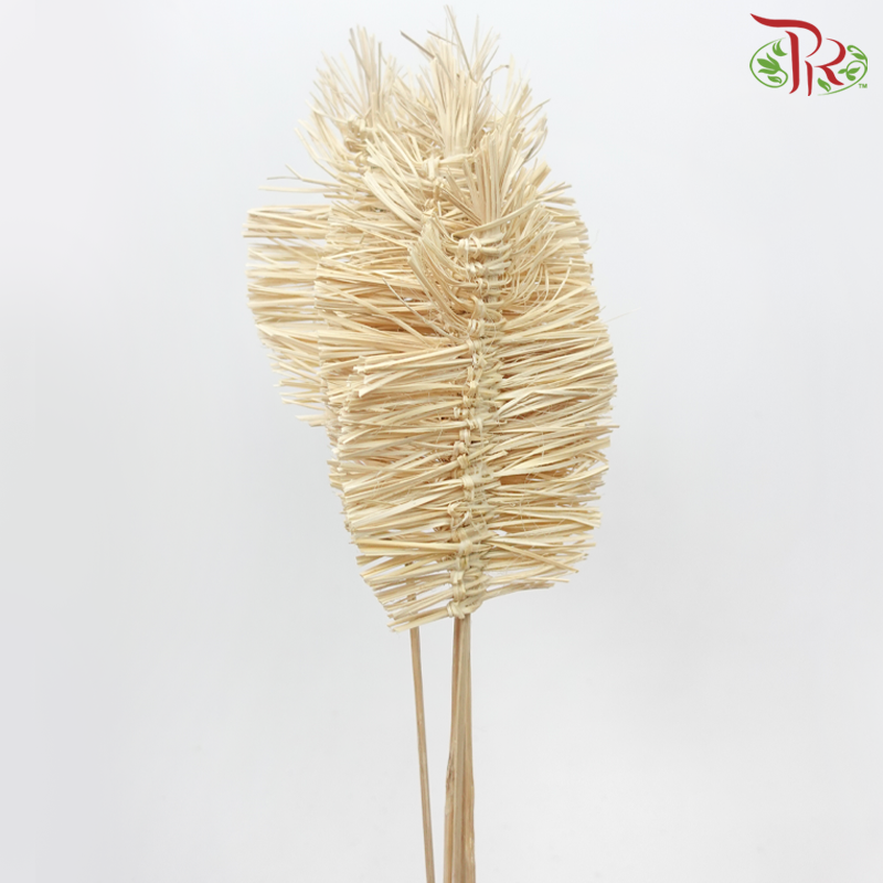 Dry Bamboo Boho Cana Leaf