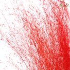 Dry Bleached Muhly Grass - Red (Per Bunch)-Red-China-prflorist.com.my