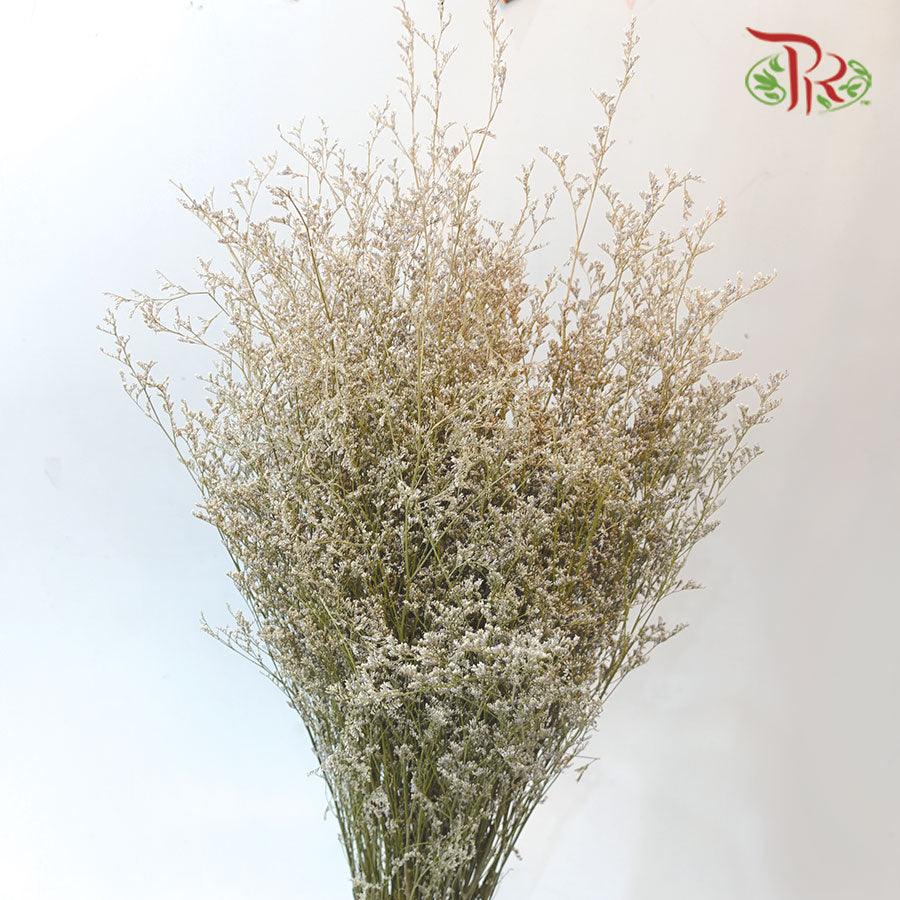 Dry Caspia - (150gram)-China-prflorist.com.my