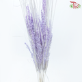 Dry Couch Grass - Light Purple (Per Bunch)-Light Purple-China-prflorist.com.my