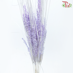 Dry Couch Grass - Light Purple (Per Bunch)-Light Purple-China-prflorist.com.my