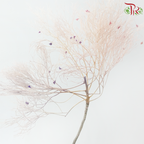Dry Dream Grass - Mixed Pink With Purple (Per Bunch)-Mixed Pink With Purple-China-prflorist.com.my