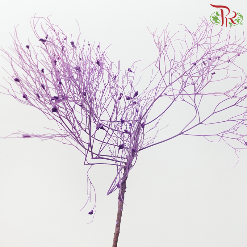 Dry Dream Grass - Purple (Per Bunch)-Purple-China-prflorist.com.my