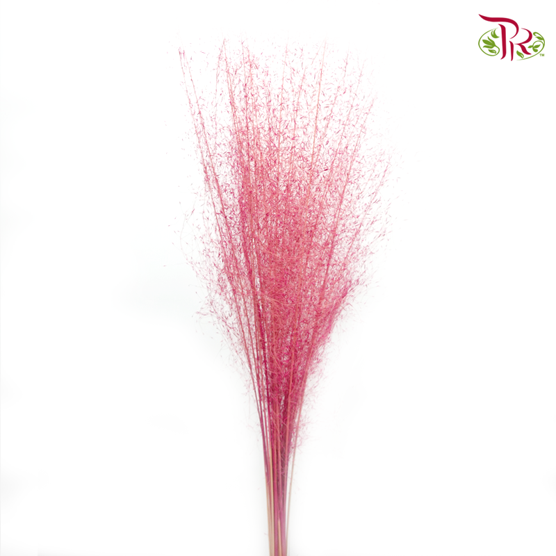 Dry Fendai - Cherry Pink (Per Bunch)-Cherry Pink-China-prflorist.com.my