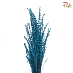 Dry Lavender - Dark Turquoise (Per Bunch)-Dark Turquoise-China-prflorist.com.my
