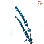 Dry Lavender - Dark Turquoise (Per Bunch)-Dark Turquoise-China-prflorist.com.my