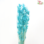 Dry Nigella Pods - Blue (Per Bunch)-Blue-China-prflorist.com.my