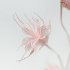 Dry Nigella Pods - Light Pink (Per Bunch)-Pink-China-prflorist.com.my