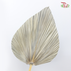 Dry Palm Natural - Peach (5 Stems)-China-prflorist.com.my