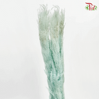 Dry Pampas 120cm - Light Blue (5 Stems)-Blue-China-prflorist.com.my