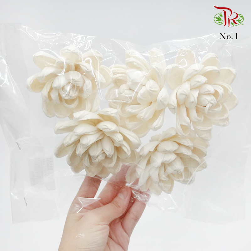 Dry Paper Flower - Without stem (5 pcs)-1-Thailand-prflorist.com.my