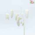 Dry Quacking Grass - White (Per Bunch)-White-China-prflorist.com.my