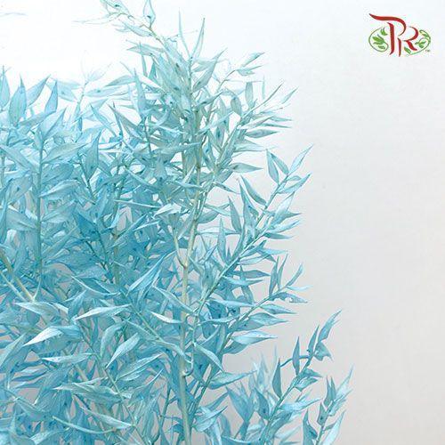 Dry Ruscus Bleached - Blue (5 Stems Per Bundle)-Blue-Italy-prflorist.com.my