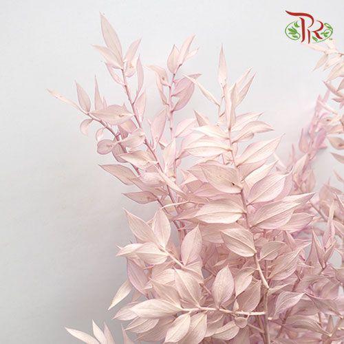 Dry Ruscus Bleached -Pink-Pink-China-prflorist.com.my