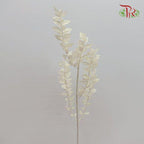 Dry Ruscus Bleached - White (5 Stems)-White-Import-prflorist.com.my