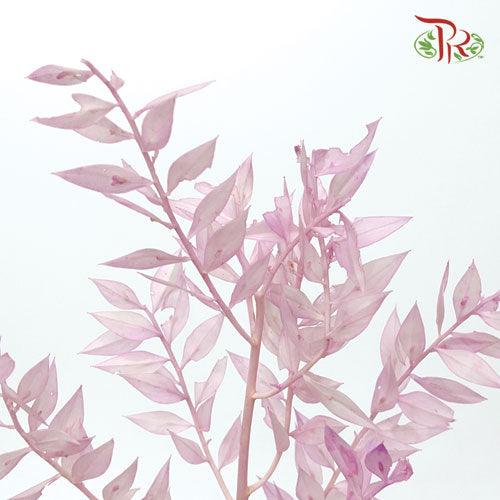 Dry Ruscus Colour - Lilac (5 Stems Per Bundle)-Lilac-Italy-prflorist.com.my