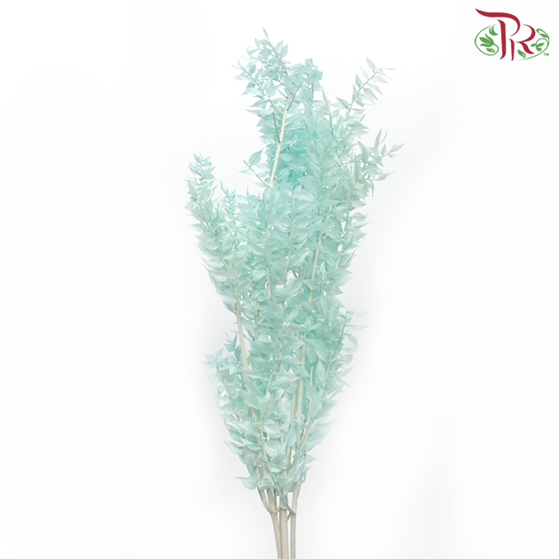 Dry Ruscus Dyed Colour - Turquoise-Turquoise-China-prflorist.com.my