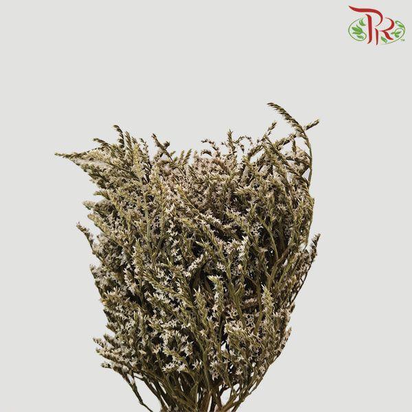 Dry Tartarica - White-White-Italy-prflorist.com.my
