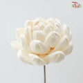 Dry Sola Wood Lotus Flower (2 stems)