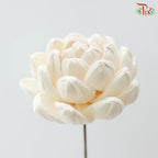 Dry Sola Wood Lotus Flower (2 stems)