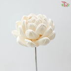 Dry Sola Wood Lotus Flower (2 stems)