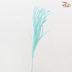 Dry Mini Pampas