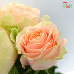 Rose - Gravity (10 Stems) - Pudu Ria Florist