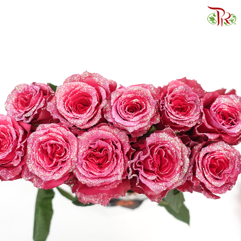 Ceres Rose - Strawberry Gloss (10 Stems) - Pudu Ria Florist