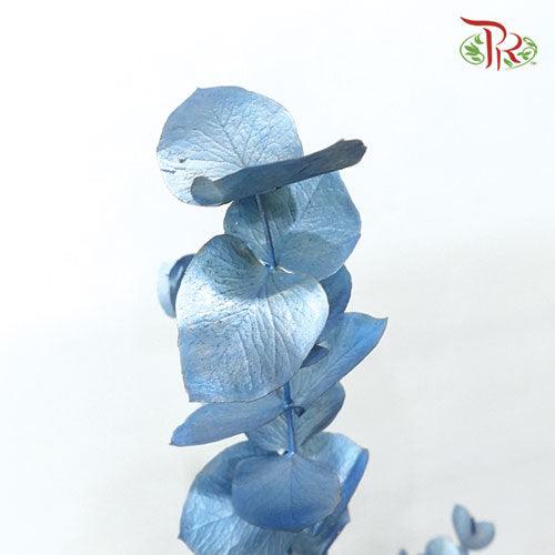 Eucalyptus Dyed Metal Preservatives - Blue-Blue-Italy-prflorist.com.my