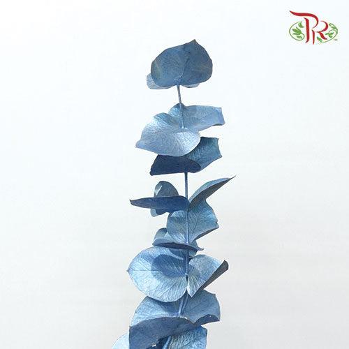 Eucalyptus Dyed Metal Preservatives - Blue-Blue-Italy-prflorist.com.my