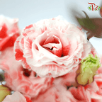Eustoma - Dyed Red (650-750 Gram)-Red-China-prflorist.com.my